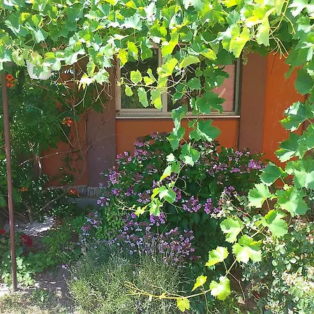 Wild House Goriza * Goritsa